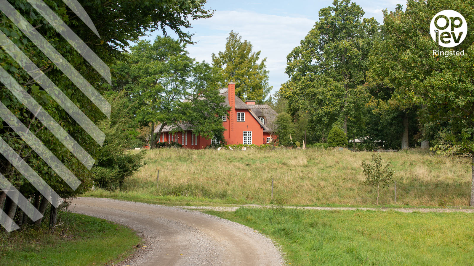 Skønne naturoplevelser