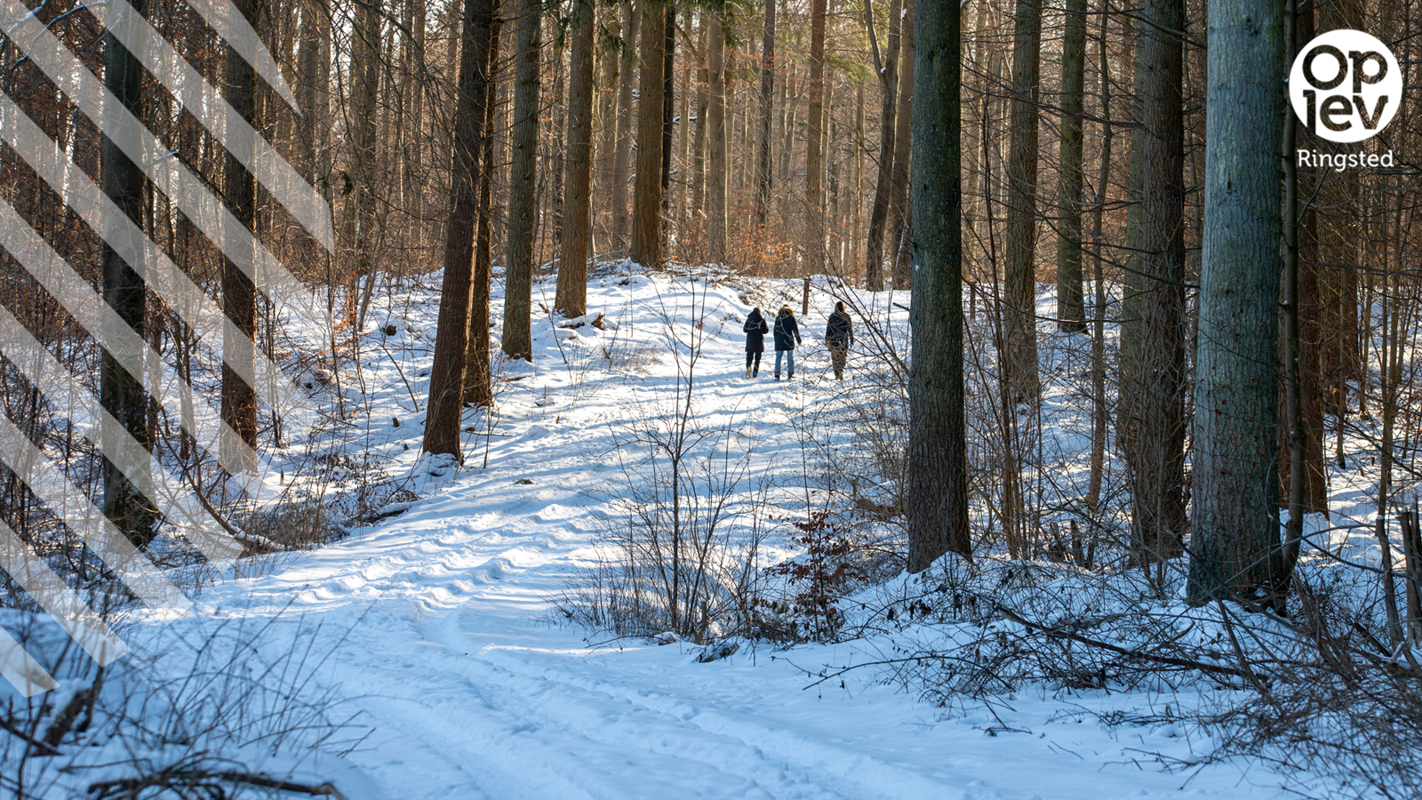 Vintertema: På med vandreskoene