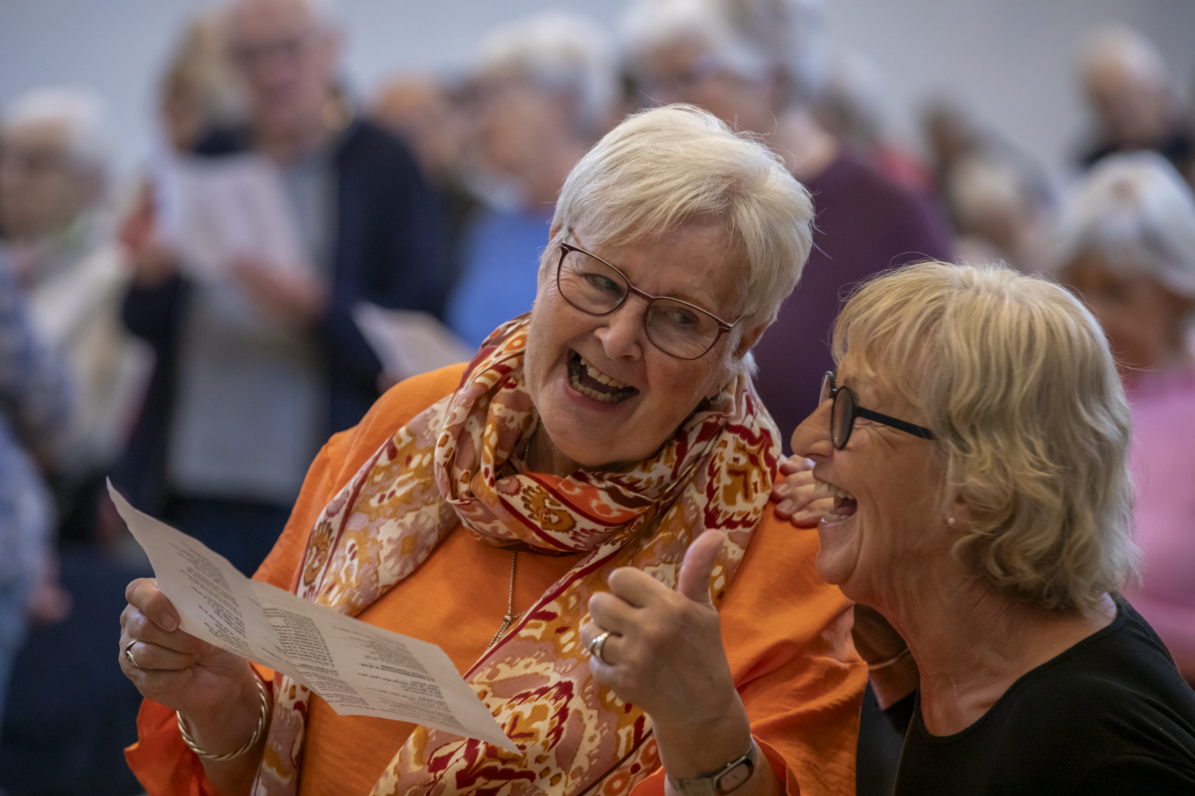 Ringsted Ældrefestival