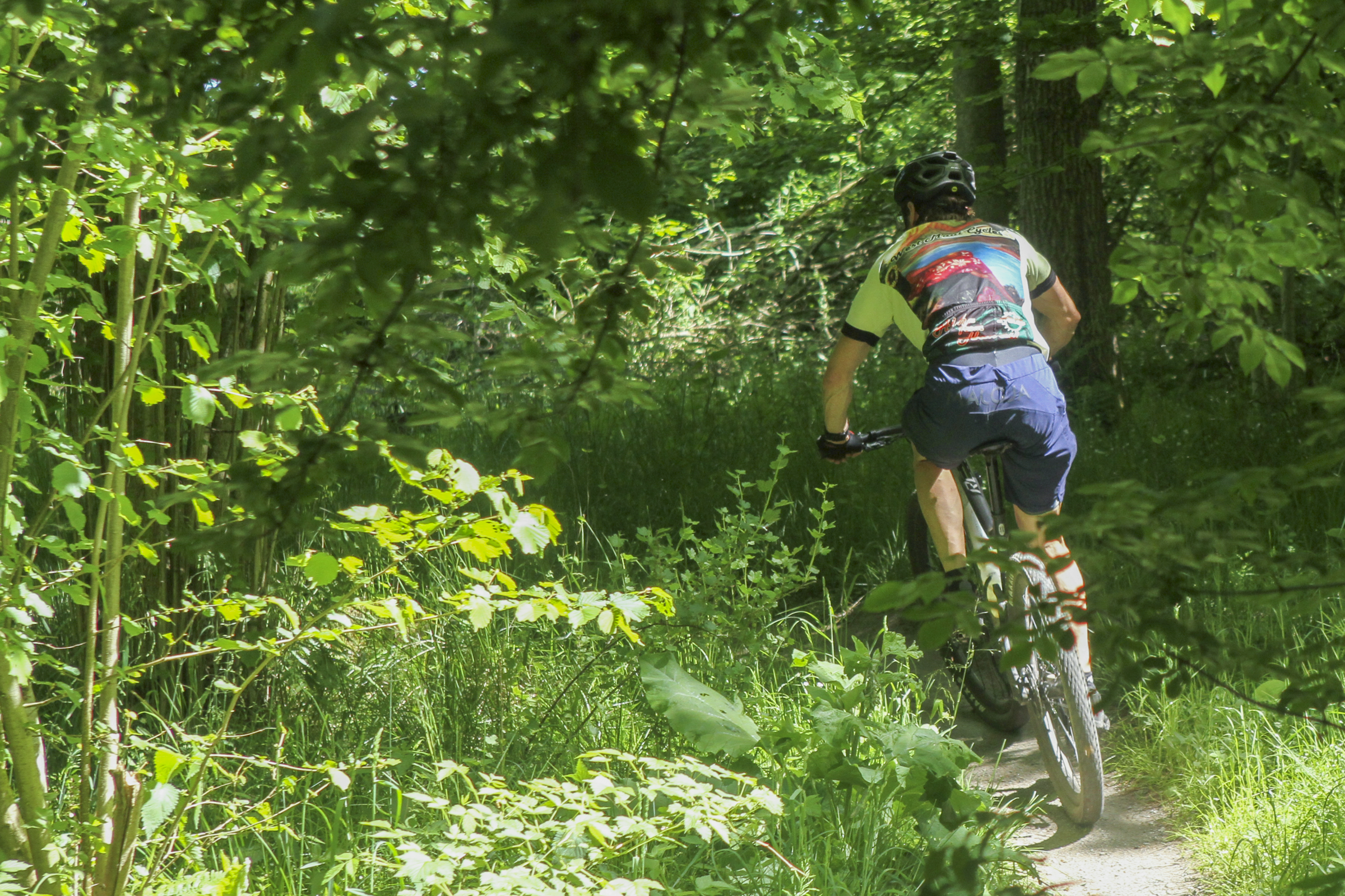 Mountainbike i Ringsted
