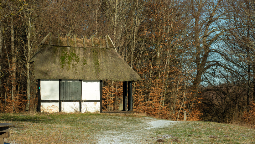 Store Bøgeskov kort