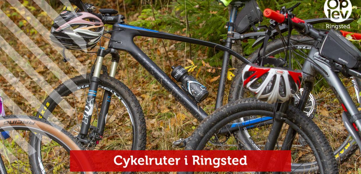 Cykelruter i Ringsted