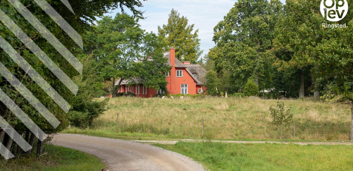 Skønne naturoplevelser